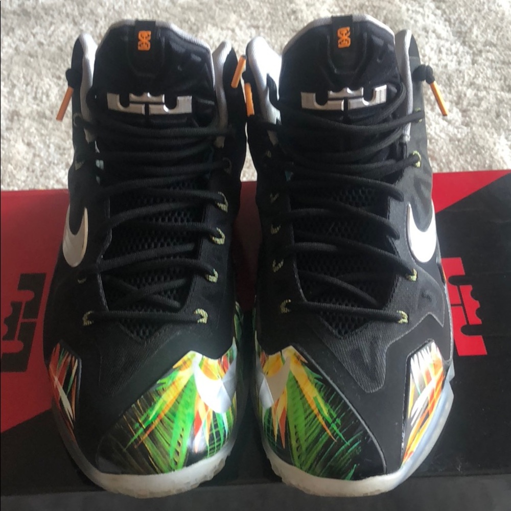 Nike- Lebron XI (11) Everglades- Black